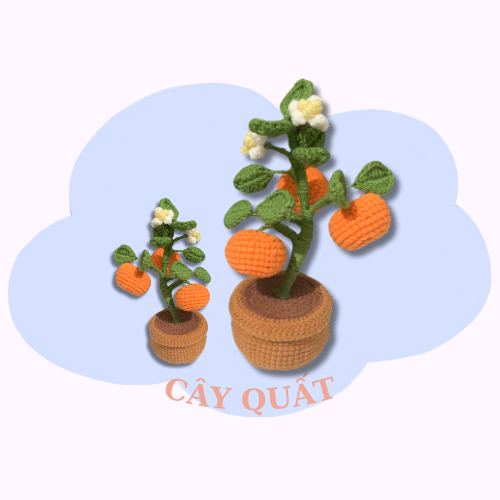 cay-quat Cây Quất